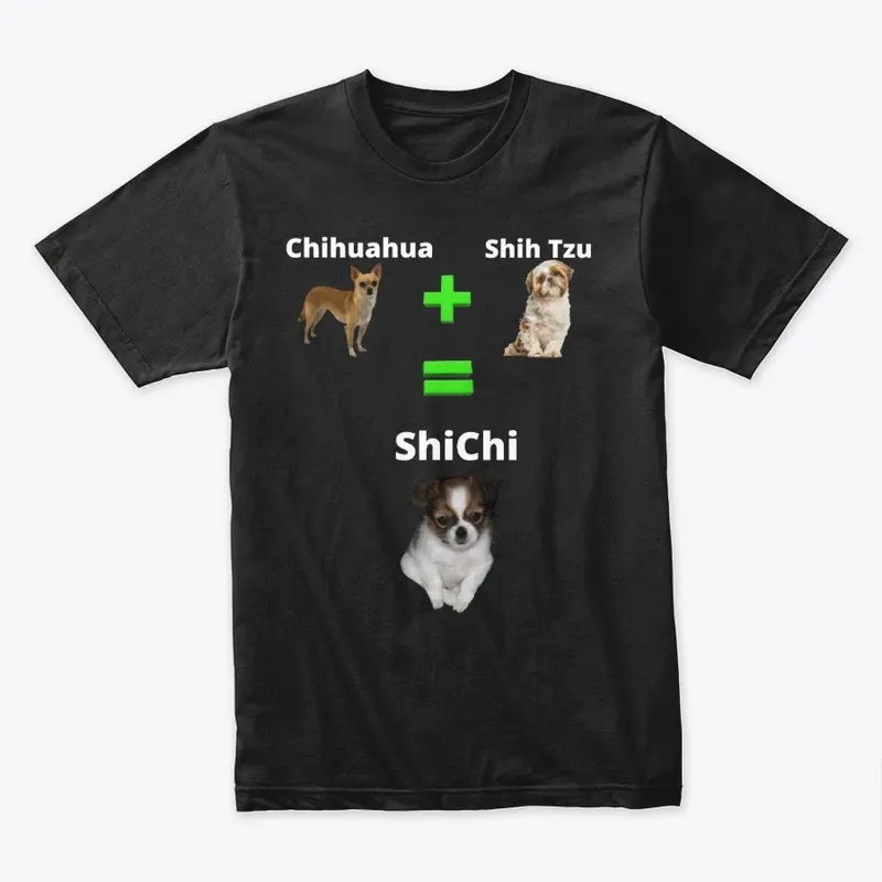 Shi Chi