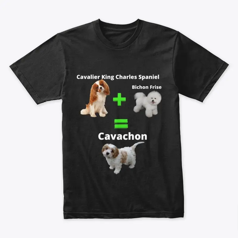 Cavachon